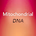 Mitochondrial DNA