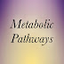 Metabolic Pathways